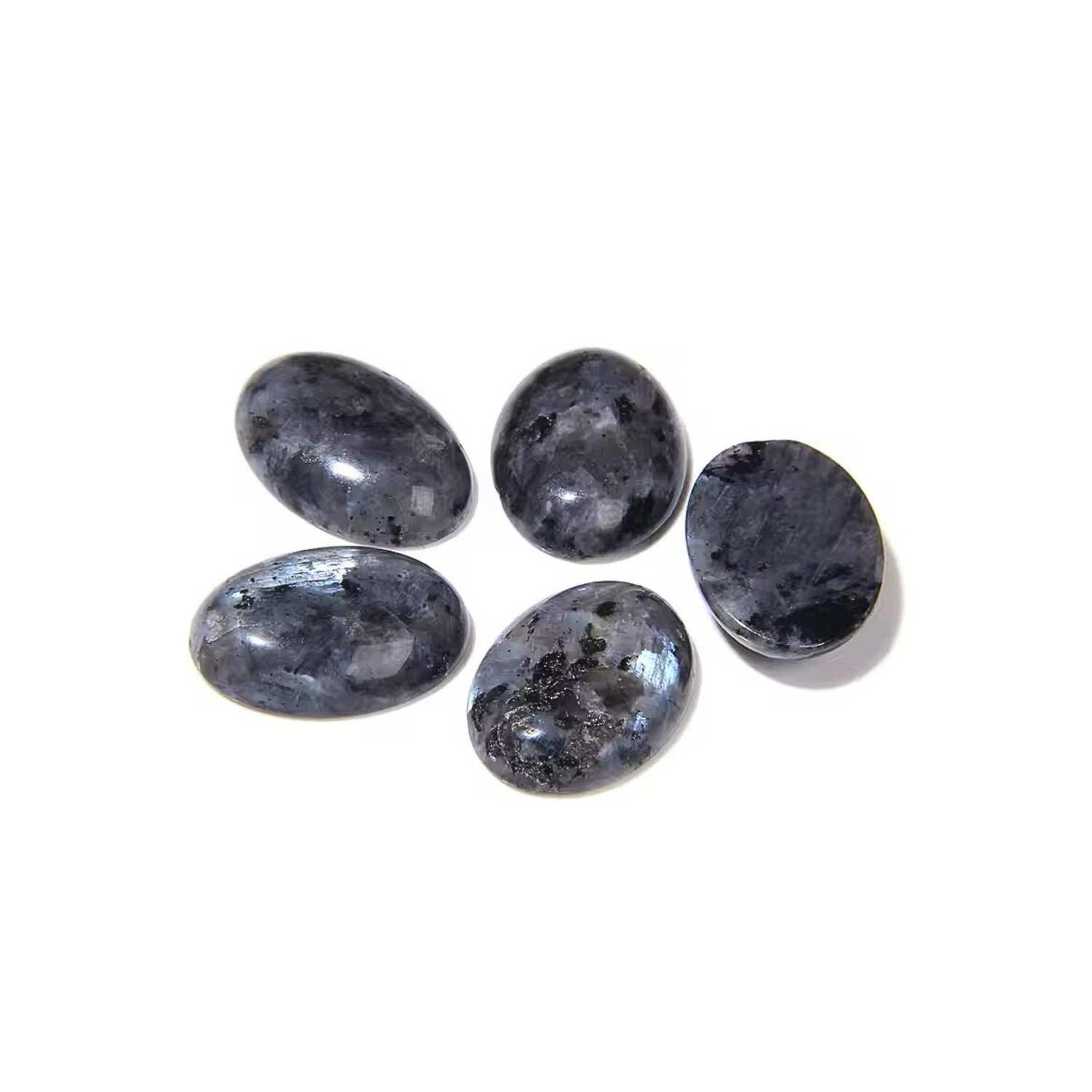 Lot Cabochons Ovales • Larvikite x5